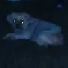 lautiqsgdz0