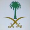 user981571541431