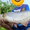 phat110420111