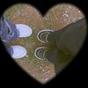 user4814561875420