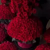 m_s4j6