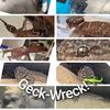 geckwreck