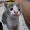baby.silver.stron