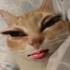 b_b_ng