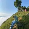 notjunior66