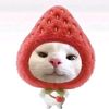 kay_kay1404