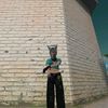 istriidaman503