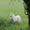 nhuy_20047
