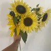 belideli37
