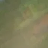 mira70834