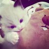 ikaa_cantipp0