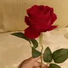 as_ll_sa