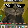 user5982547323142