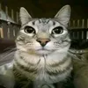 benicio_d.silva