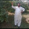 malik.hameed2433