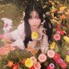 kayan_bunnie