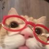 cillaimup06