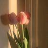 jess_cika.0105