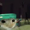 spongerobert.quad