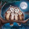 birdworld6598