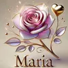 user250784248