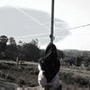 fauzah979