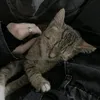wibx_7