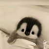 Cutie Penguin 🐧