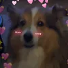 noahyttinen6