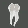 dentaltech.studio