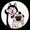 Pet Dog