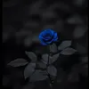wooowww863