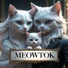 MeowTok