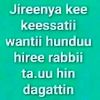 jimmaa.jimmaa.jim8