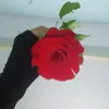 saharsahar1234560