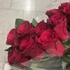 rabani.1122