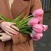 f__tom8