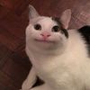 ldbpgridfxpi