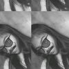 ay_raaa8