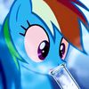 raindash19