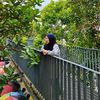 akak_sandwich