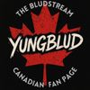 thebludstream