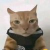 bwfijhdigxfs6