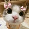 coki_coki873