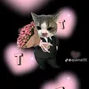 tao.ngt.nguyn.s.ng
