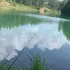 alessio.12348