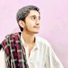 ali.mujtaba.shah33