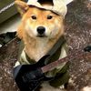 gitarisstt