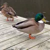 abcdefghijklmnopqrstfuyh