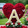 aboos080